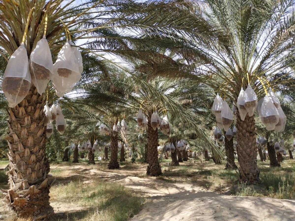 דוז Grand Sud, La Maison De Sable מראה חיצוני תמונה